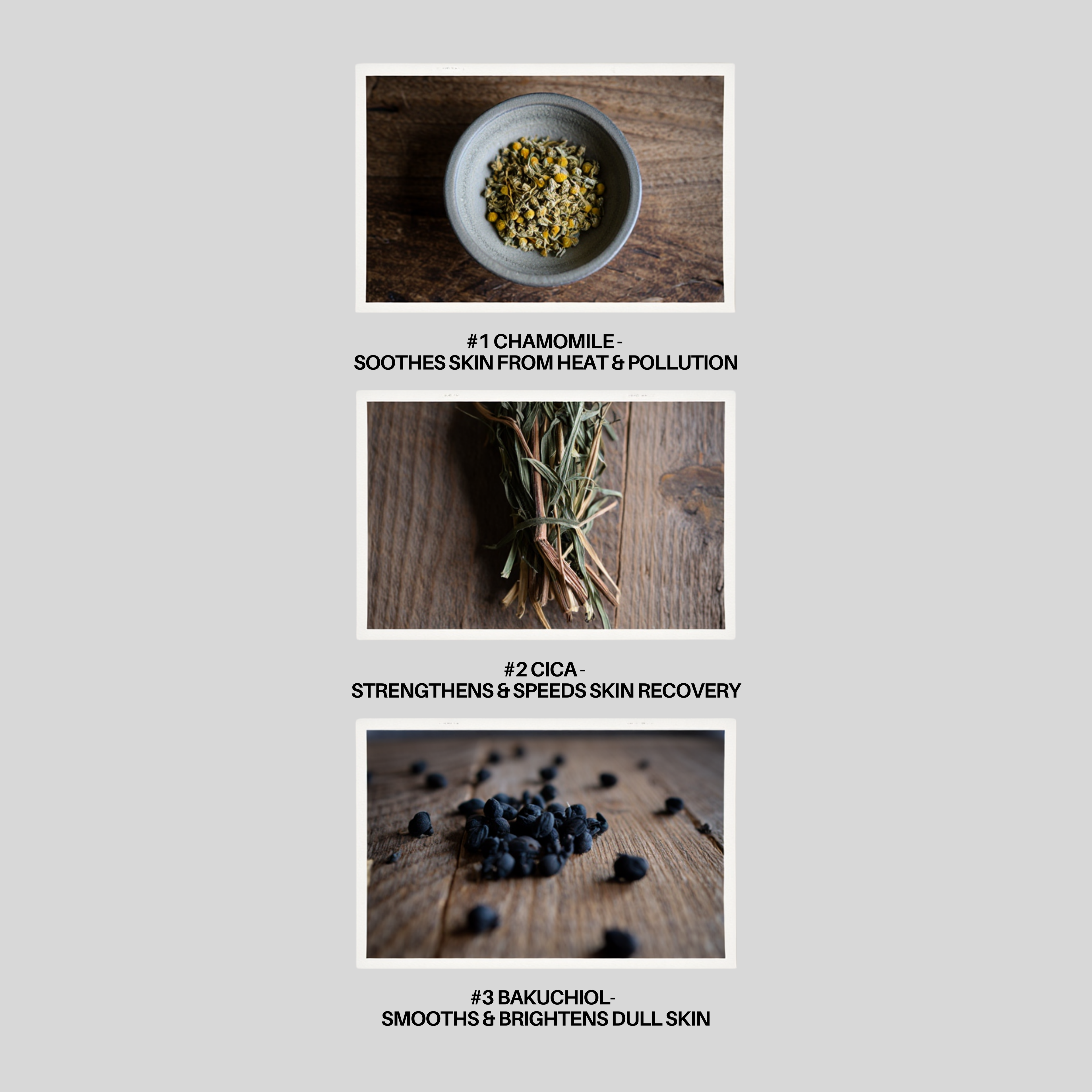 Prime + Prep Screen SPF 40 PA +++